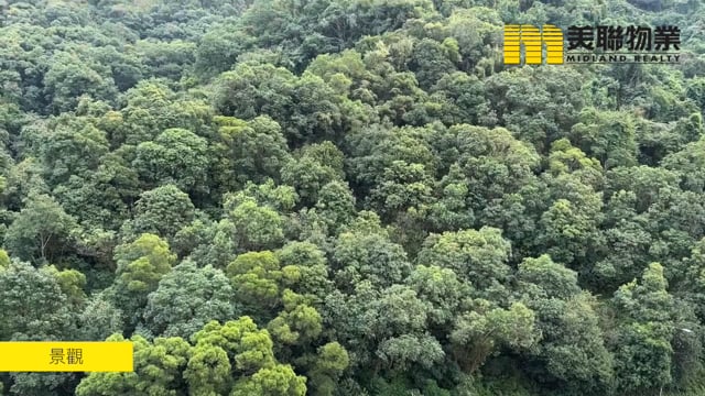 世界花园 沙田 中层 1577170 售盘