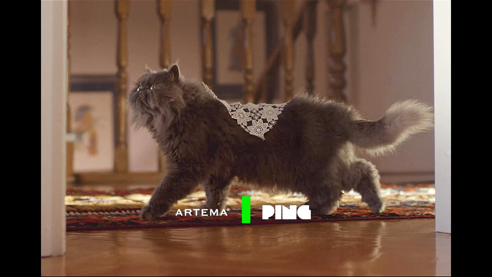 Artema | Standartları Zorlayanlar