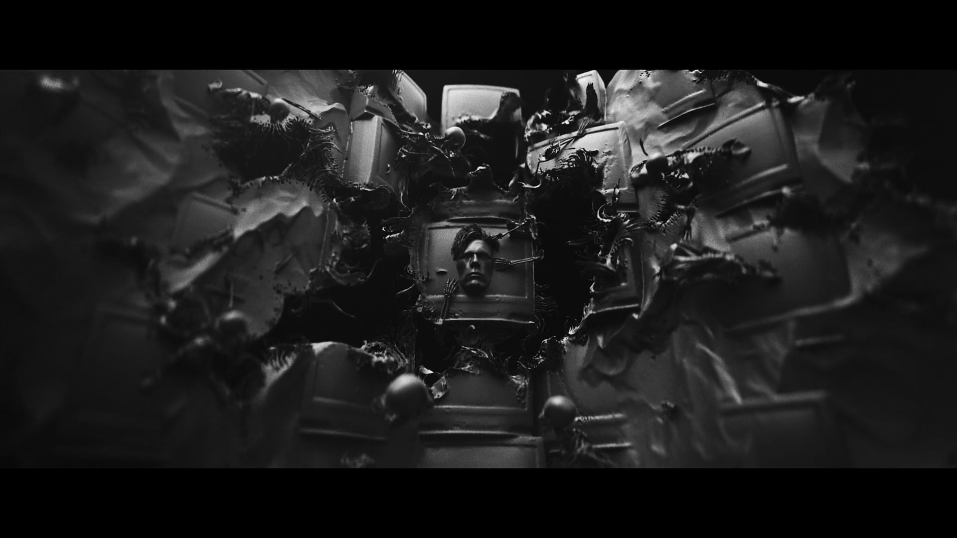 The Image of The Fox - Short Film