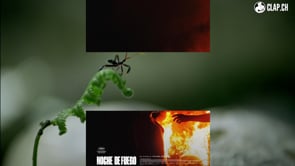 Noche de fuego