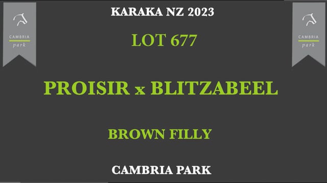 Lot 677