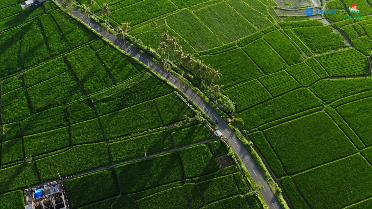 Vemedim - Base.vn