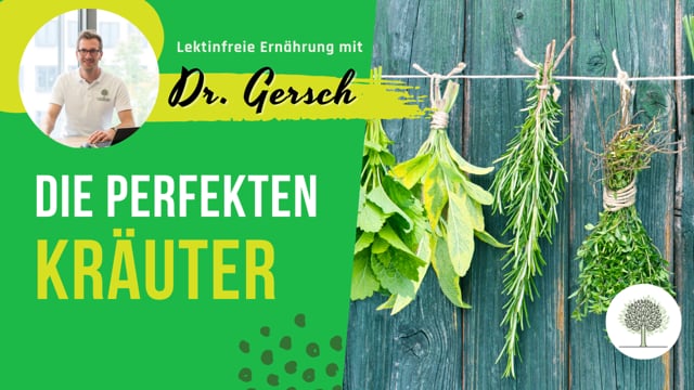 Welche Kräuter sind auf einer lektinfreien Ernährung akzeptabel? 