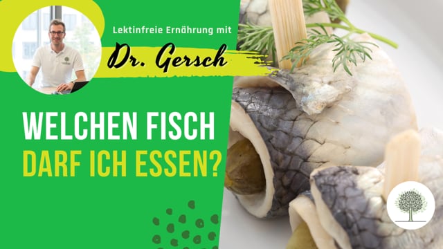 Ist eingelegter Fisch wie Rollmops oder Hering gesund? 