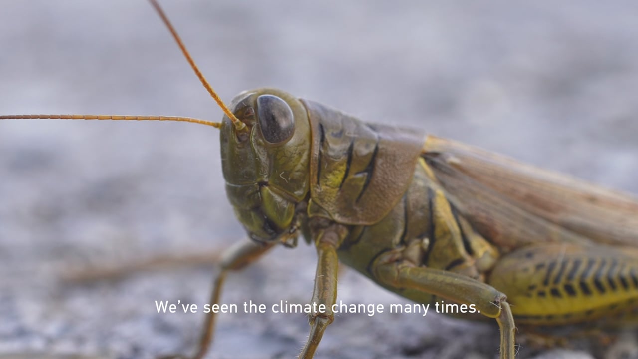 When Monsters Walked The Earth, a video by Isabelle Carbonell, Jaime Jover