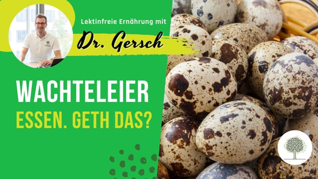 Darf ich Wachteleier auf einer lektinfreien Ernährung essen?