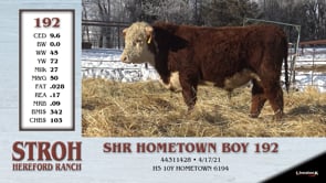 Lot #192 - SHR HOMETOWN BOY 192