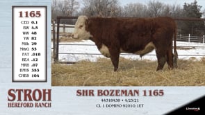 Lot #1165 - SHR BOZEMAN 1165