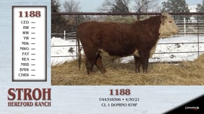 Lot #1188 - 1188