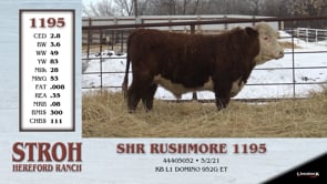 Lot #1195 - SHR RUSHMORE 1195