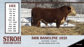 Lot #102 - SHR BASELINE 1021