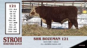 Lot #121 - SHR BOZEMAN 121