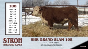 Lot #108 - SHR GRAND SLAM 108