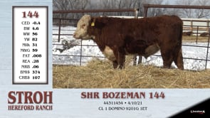 Lot #144 - SHR BOZEMAN 144