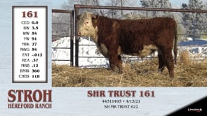 Lot #161 - SHR TRUST 161