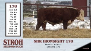 Lot #178 - SHR IRONSIGHT 178