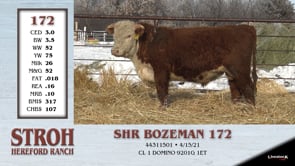 Lot #172 - SHR BOZEMAN 172