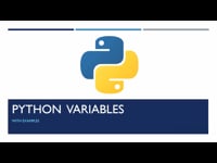 What are Variables in Python? 