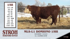Lot #158 - MLS-L1 DOMINO 1581