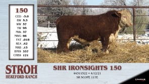 Lot #150 - SHR IRONSIGHTS 150
