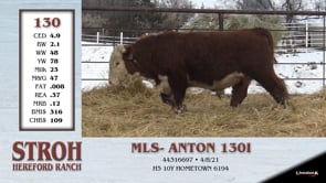 Lot #130 - MLS- ANTON 1301