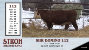 Lot #112 - SHR DOMINO 112