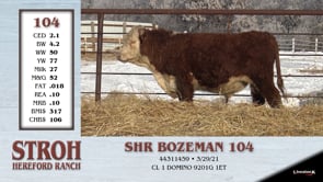 Lot #104 - SHR BOZEMAN 104
