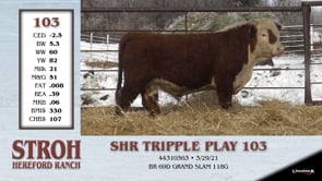 Lot #103 - SHR TRIPPLE PLAY 103