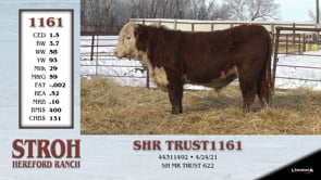 Lot #1161 - SHR TRUST 1161