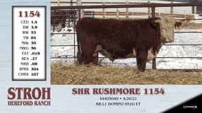 Lot #1154 - SHR RUSHMORE 1154