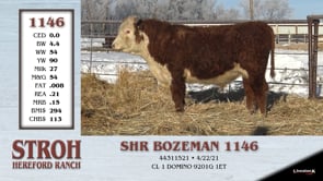 Lot #1146 - SHR BOZEMAN 1146