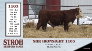 Lot #1103 - SHR IRONSIGHT 1103
