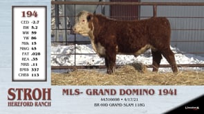 Lot #194 - MLS- GRAND DOMINO 1941