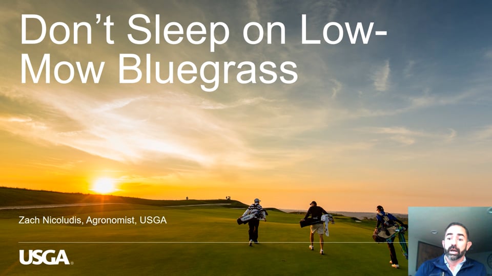 Don’t Sleep on Low-Mow Bluegrass