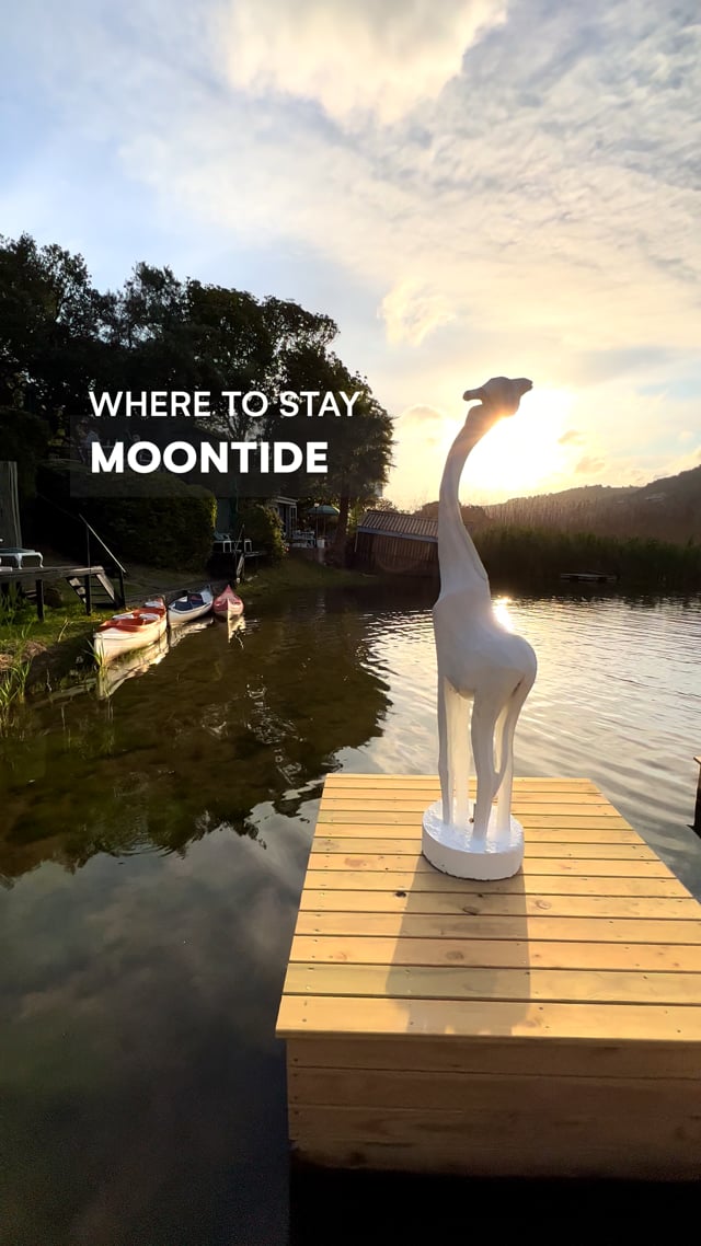 Where to Stay on the Garden Route - Moontide Riverside Lodge