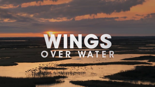 Wings Over Water