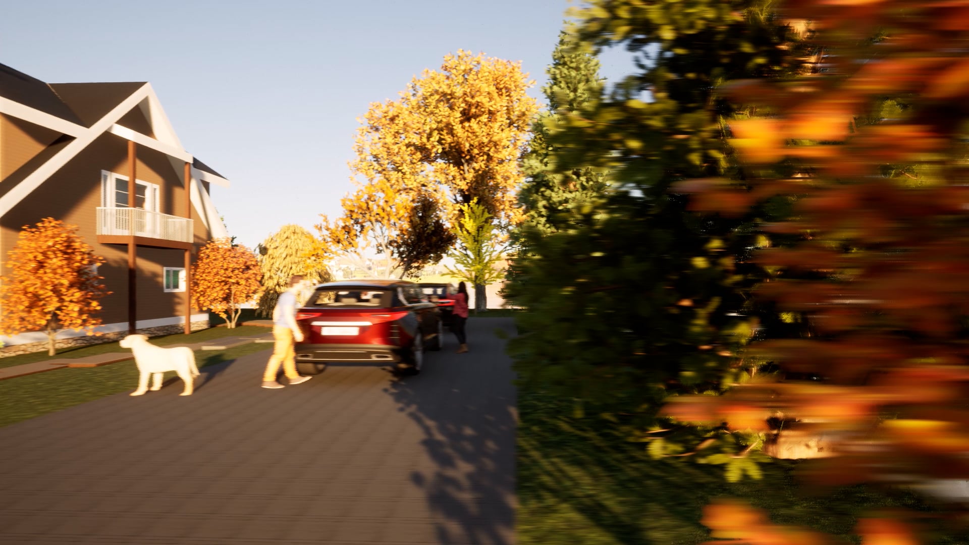 Student Portfolio