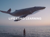 SAE – Life Long Learning