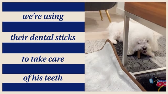 Dog Dental Sticks