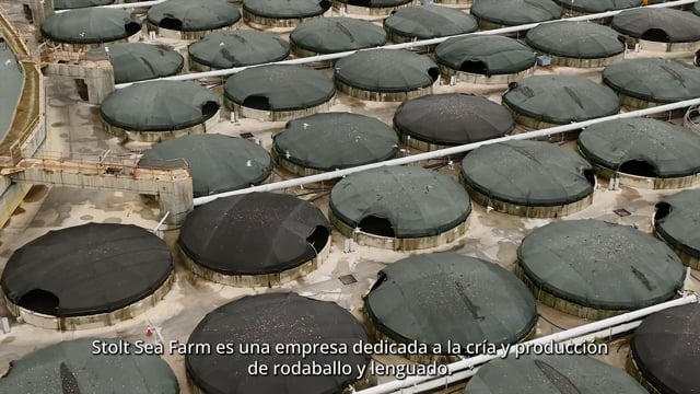 Solt Sea Farm_Case Study