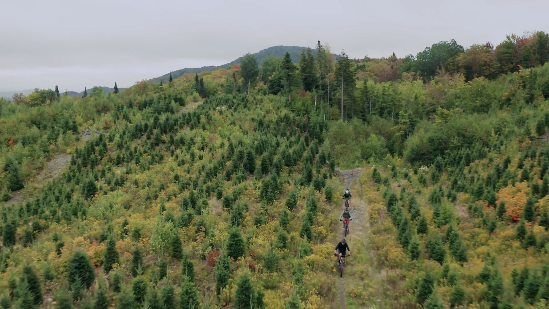 Borderlands Circuits Frontiers