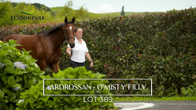 Lot 389