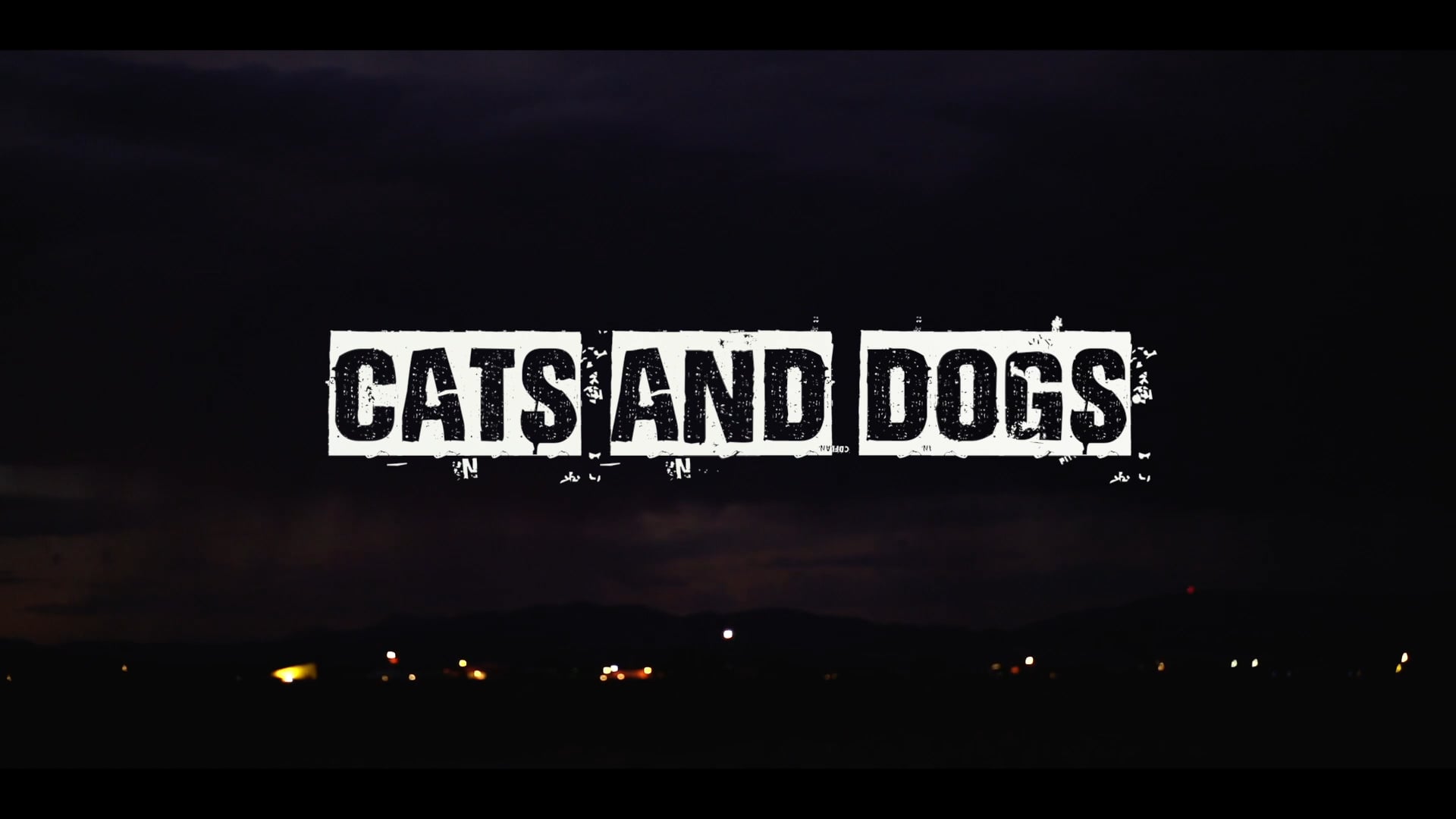CATS AND DOGS