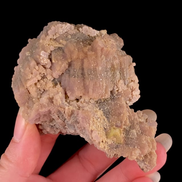 Lepidolite with Microlite (rare association piece)