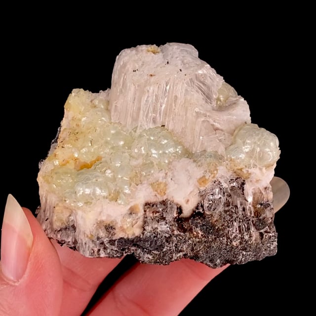 Brucite with Gypsum (RARE association for the locality)