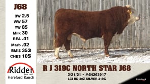 Lot #J68 - R J 319C NORTH STAR J68