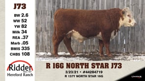 Lot #J73 - R 16G NORTH STAR J73