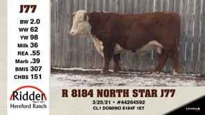 Lot #J77 - R 8184 NORTH STAR J77