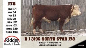 Lot #J78 - R J 319C NORTH STAR J78