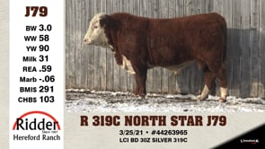 Lot #J79 - R 319C NORTH STAR J79